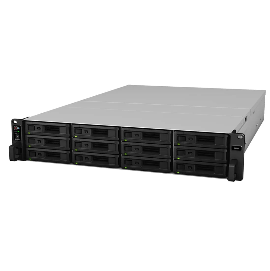 Synology RackStation RX1217SAS 12x LFF SATA/SAS 