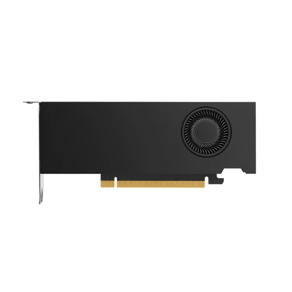 NVIDIA Quadro RTX 2000 Ada 16GB 2